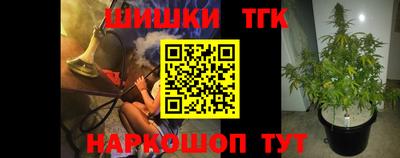 дмт Новозыбков