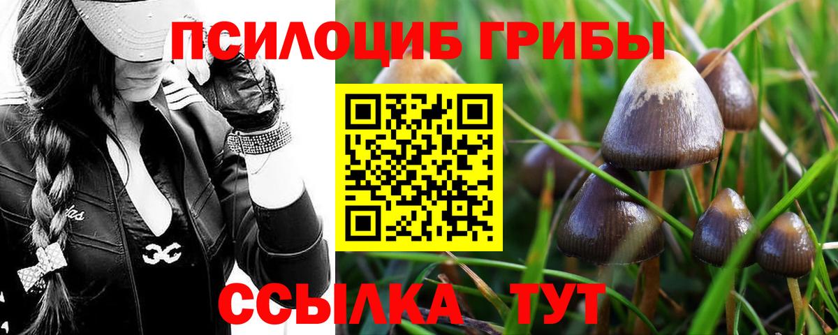 Рязань  Псилоцибиновые грибы мицелий  Галлюциногенные грибы Cubensis  Вход с VPN 
